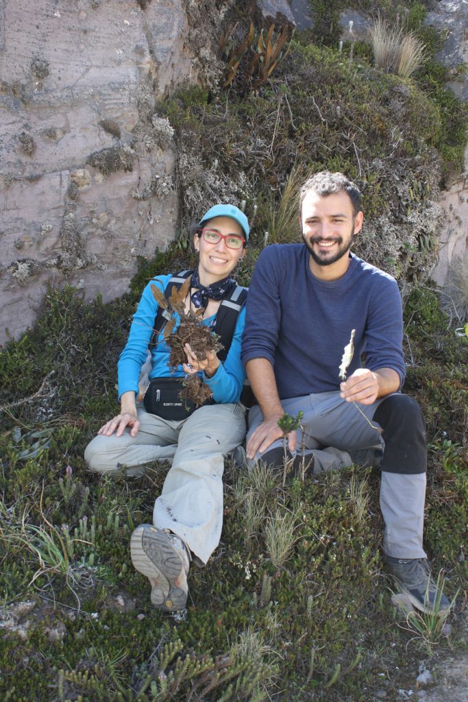 Image, a woman and man sit side by side on a lush bed of plants at the base of a rocky cliff face . They are smiling and holding fern specimens.