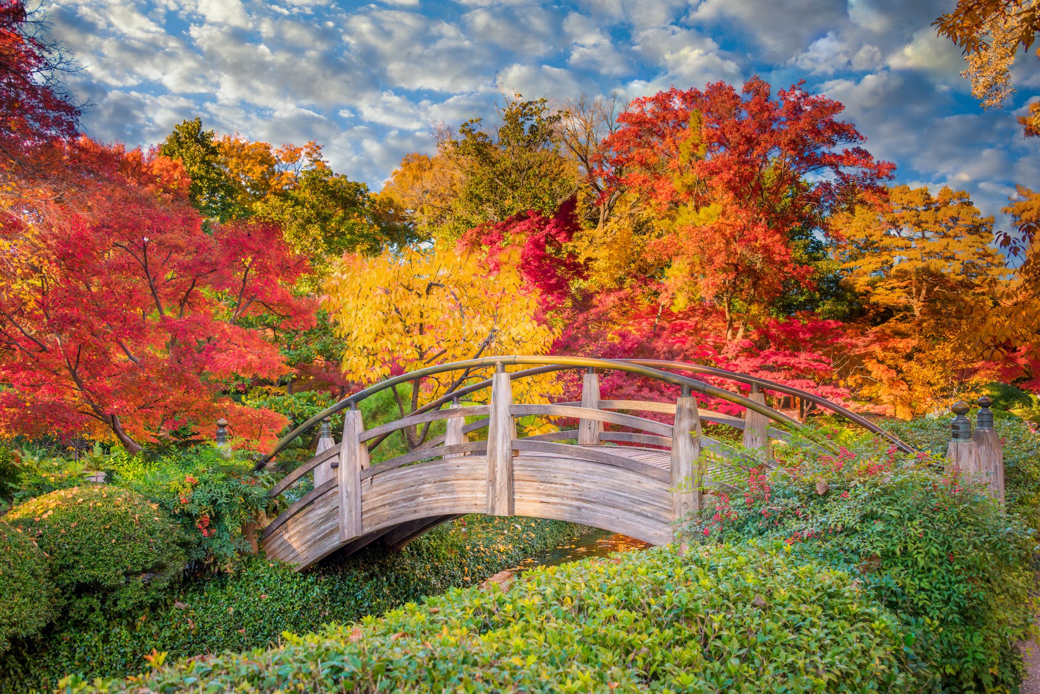 Arched wooden bridge accented by Texas fall colors