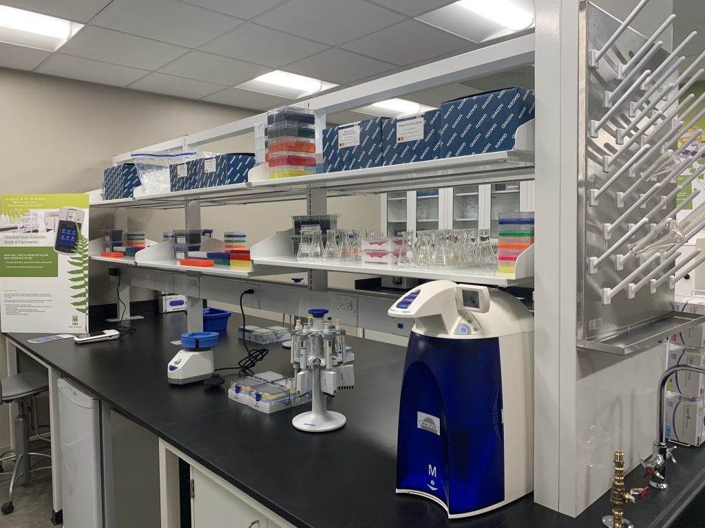 View of the post-PCR molecular laboratory bench space showing lap equipment on the bench top and in glass-front cabinets
