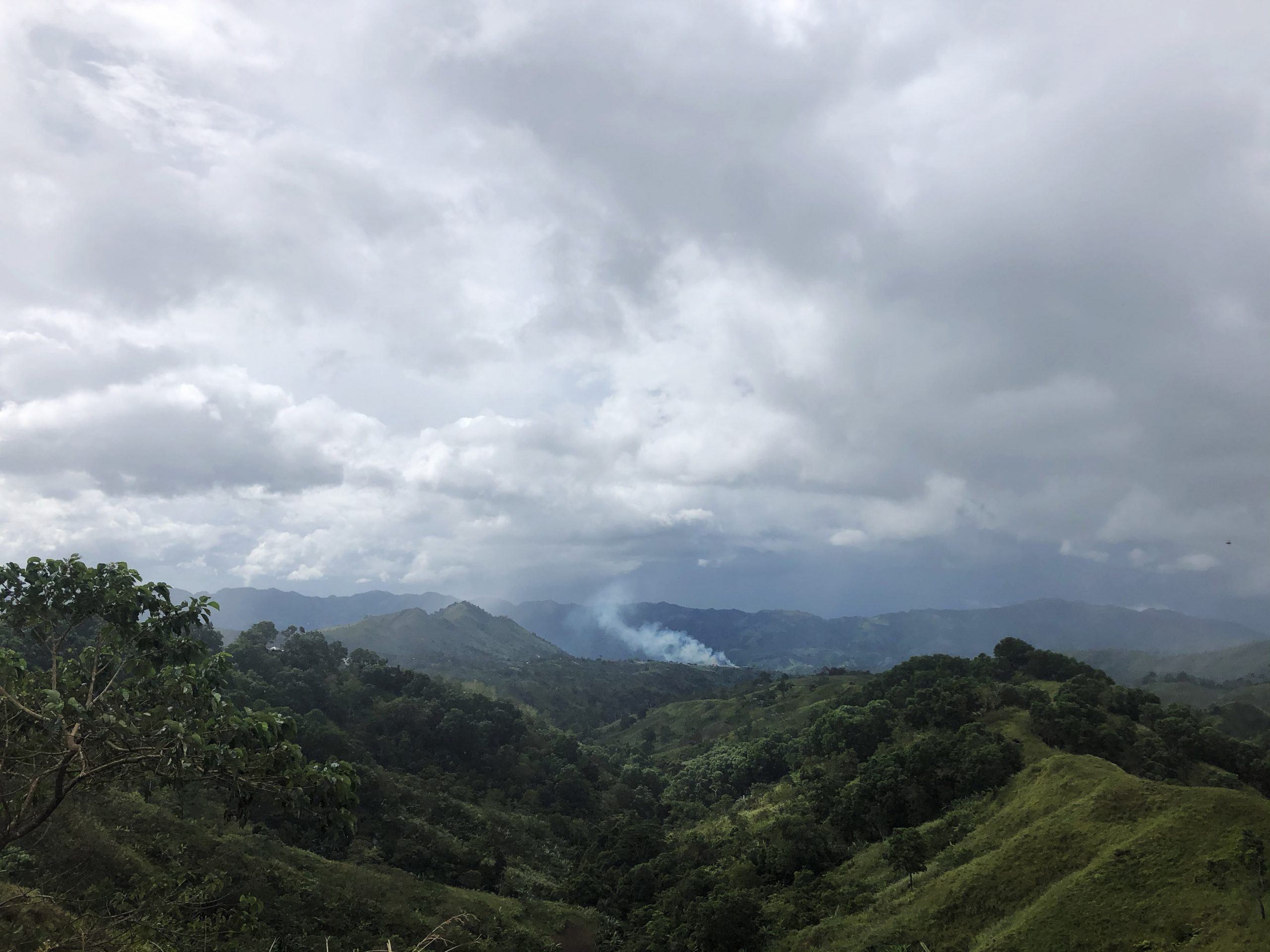 Librarian Lens: Plant Discovery In the Southern Philippines Expedition Two