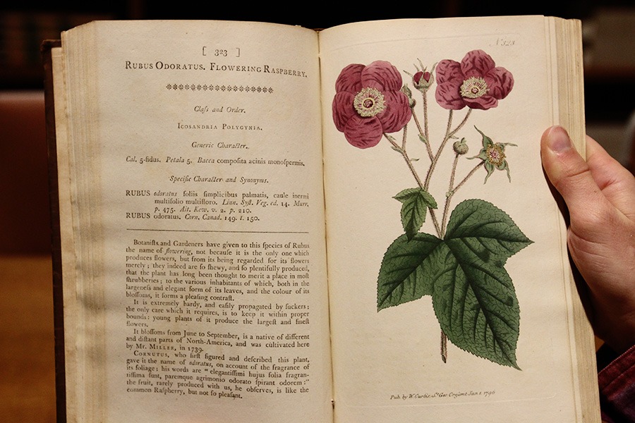 research about botanical garden