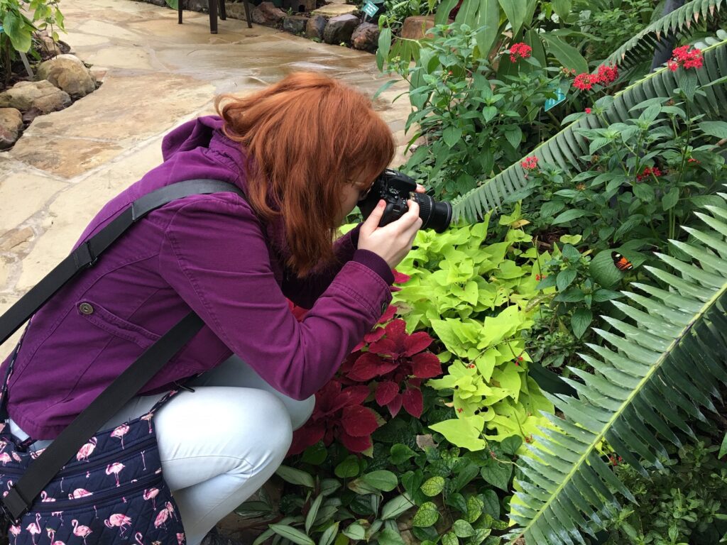 Photographing Butterflies in the Garden