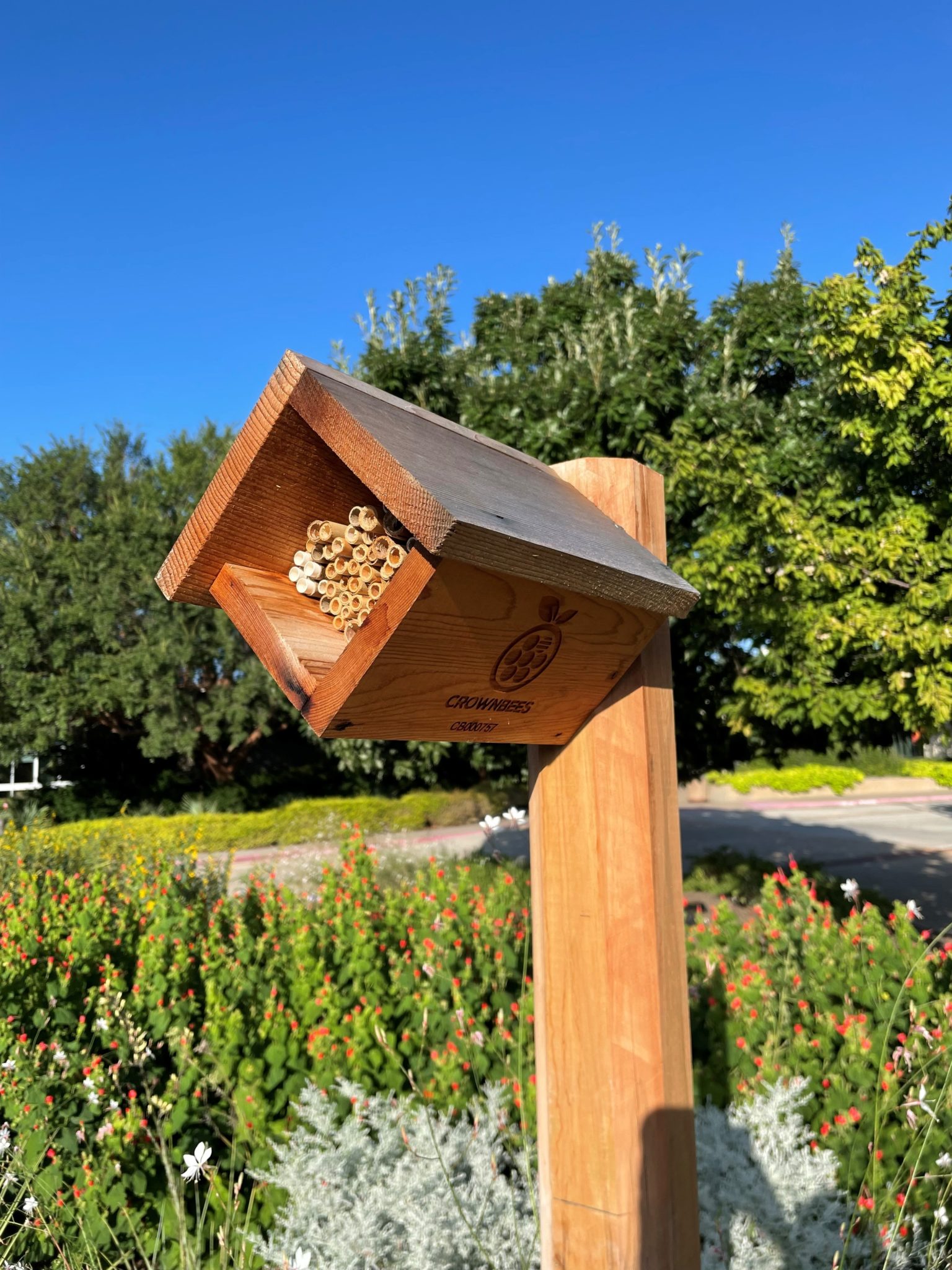 DIY Native Bee Houses - Fort Worth Botanic Garden