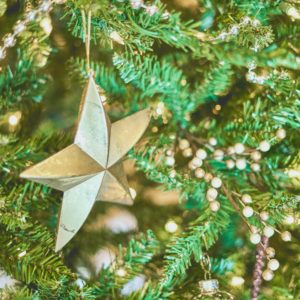 Gold star within a Christmas tree