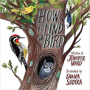 Cover of "How to Find a Bird" by Jennifer Ward and Diana Sudyka