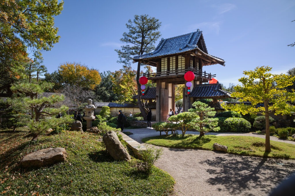 Fall Japanese Festival Fort Worth Botanic Garden