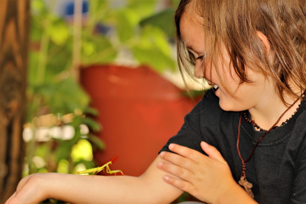 A child smiles at a praying mantis on their arm