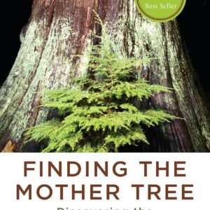 book cover of Finding the Mother Tree
