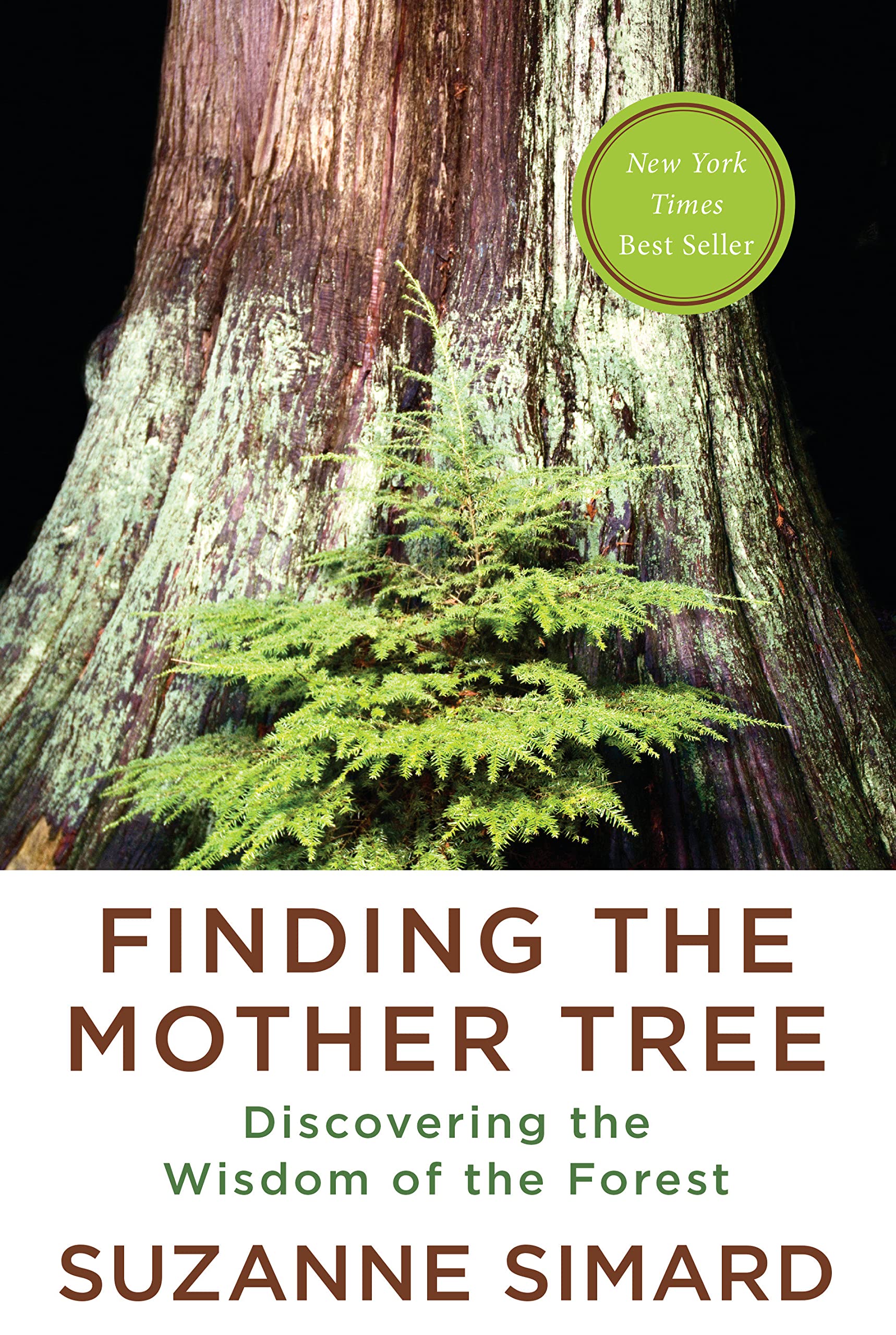 book cover of Finding the Mother Tree