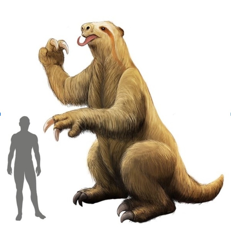 Giant ground sloths (Eremotherium) could easily have picked delicious avocados right off the tree.