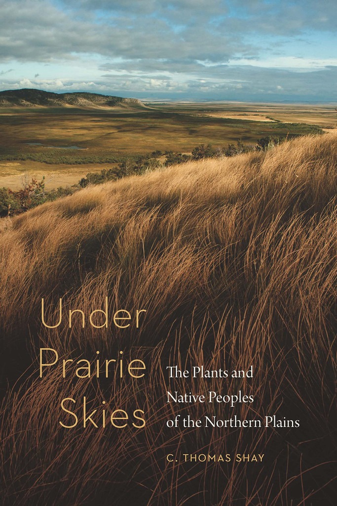 image of the book cover of "Under Prairie Skies", which features a prairie meadow and blue sky and clouds overhead.