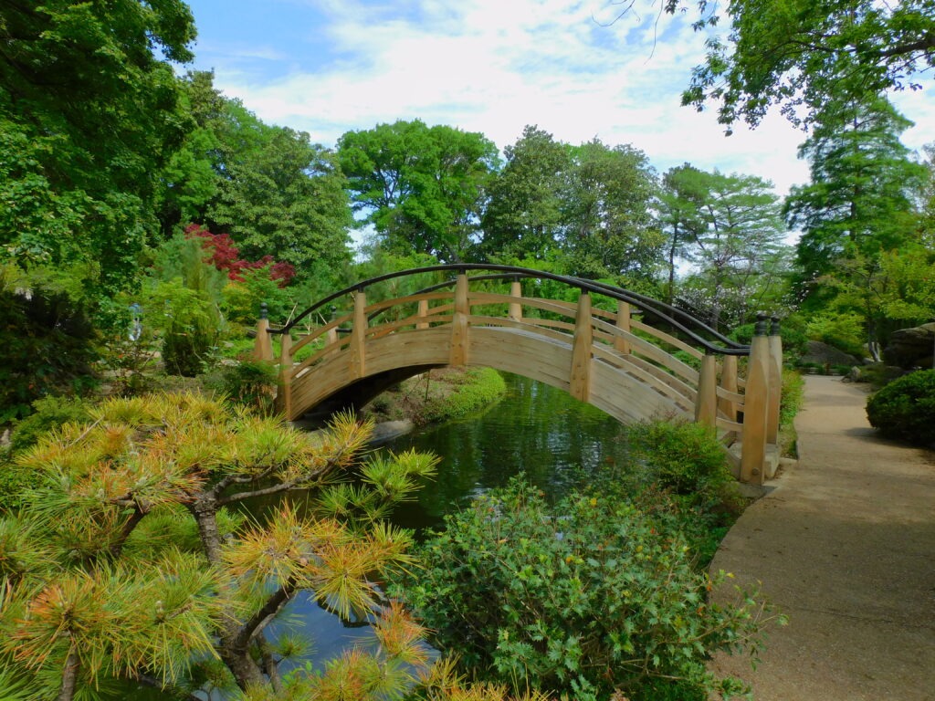 Japanese Garden Moon Bridge after 2022 restoration