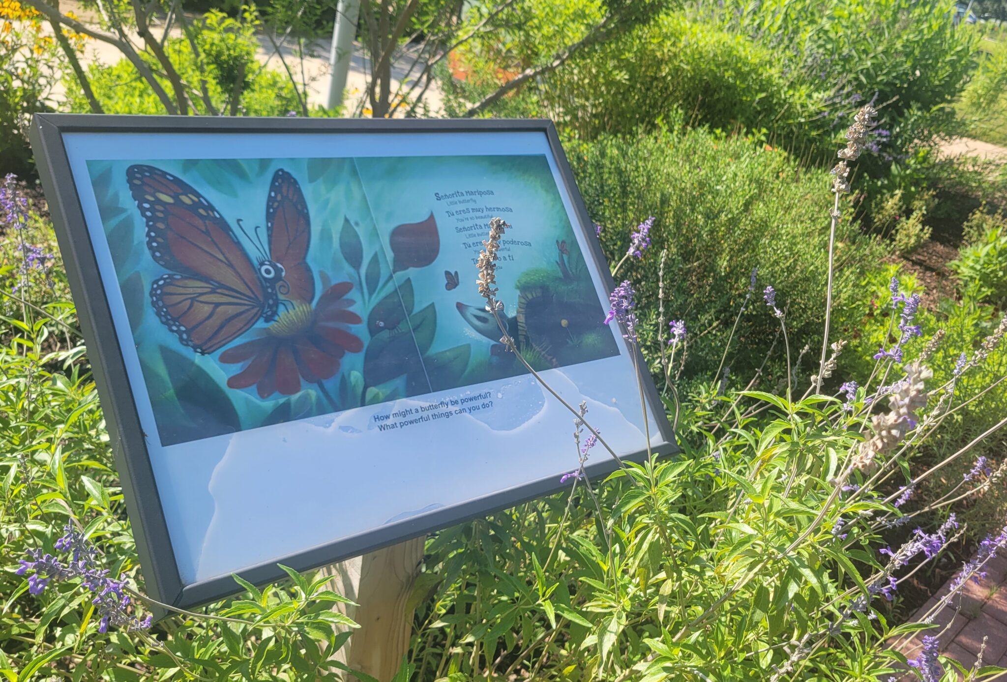 Seniorita Mariposa Storywalk on Pollinator Pathway