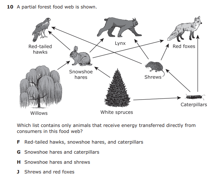 Texas STAAR test question from 2019 about food webs