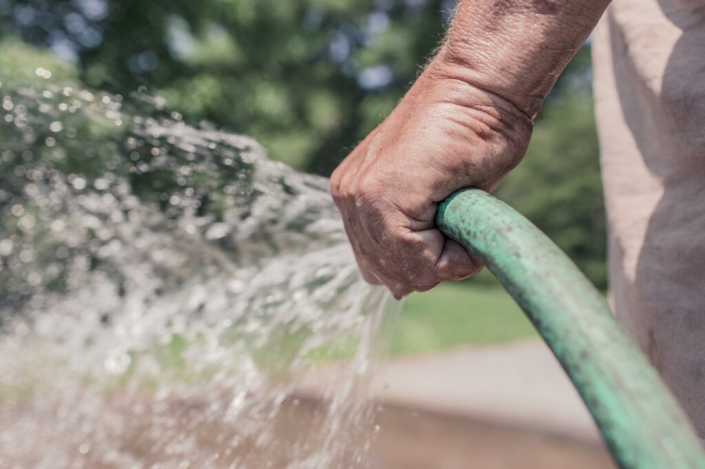 Man watering with a garden hose