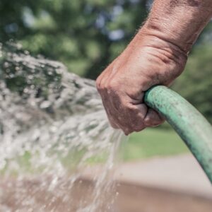 Man watering with a hand-held hose