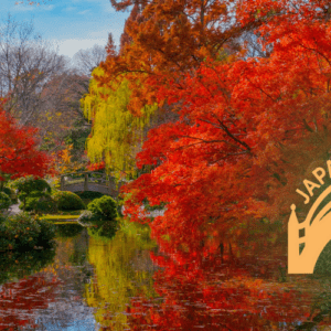 Japanese Garden in Fall - 50th Anniversary