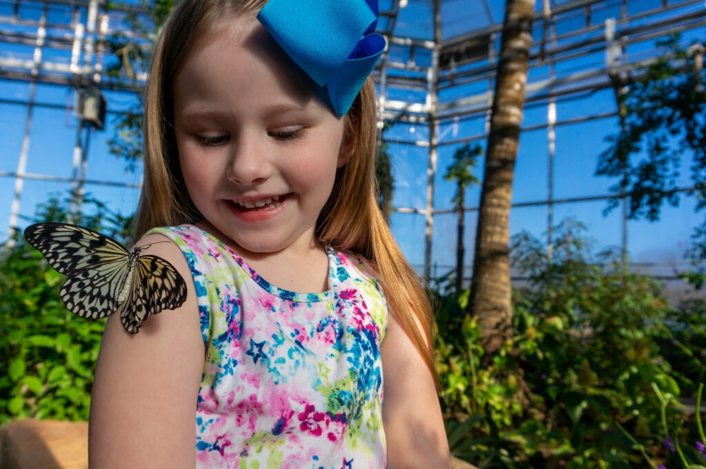 LIttle girl with butterfly on her shoulder