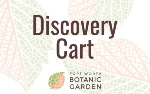 discoverycart