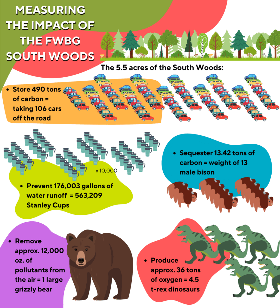 Measuring the impact of the FWBG South Woods infographic