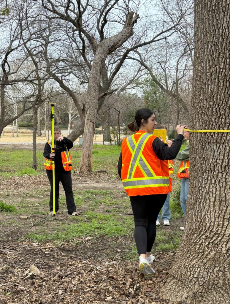 TCU students measure trees in the South Woods