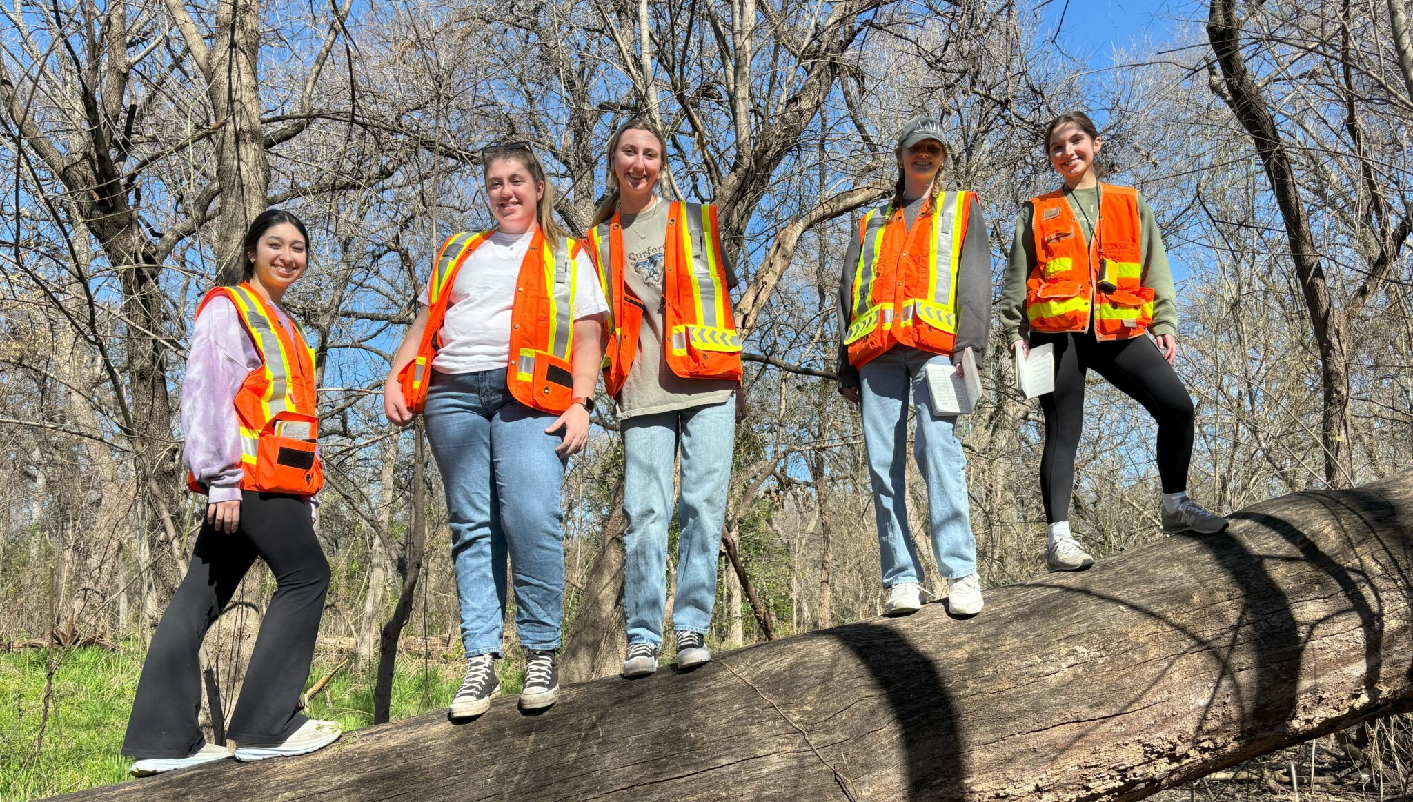 TCU students stand on fallen log in South Woods