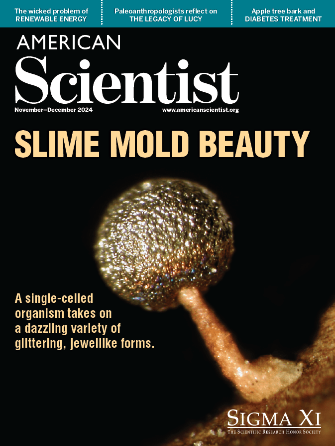 Cover of American Scientist magazine - Nov Dec 2024 - Slime Mold Beauty