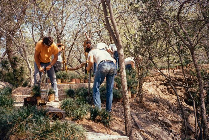 Gardeners fill the Japanese Garden with plants