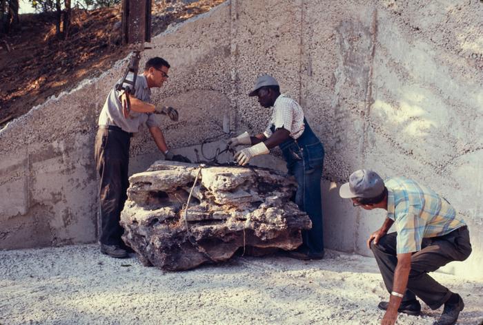 Workers place boulders in the Japanese Garden