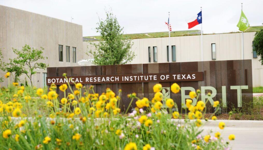 Recorrido del Instituto de Investigación Botánica de Texas (BRIT): 26 de Junio