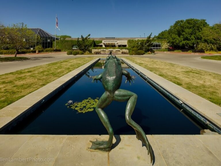 Fort Worth Botanic Garden | Explore, Discover & Engage