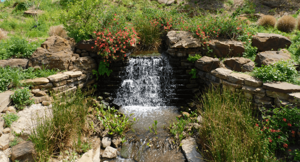 Drawing in the Garden: Rock Springs Garden
