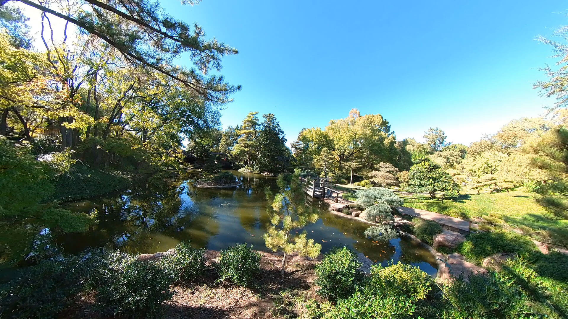 Drawing in the Garden – Japanese Garden