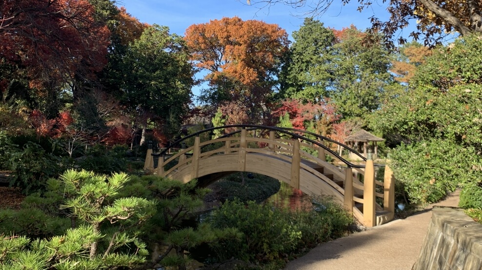 Members-Only Docent-Led Tour: Japanese Garden