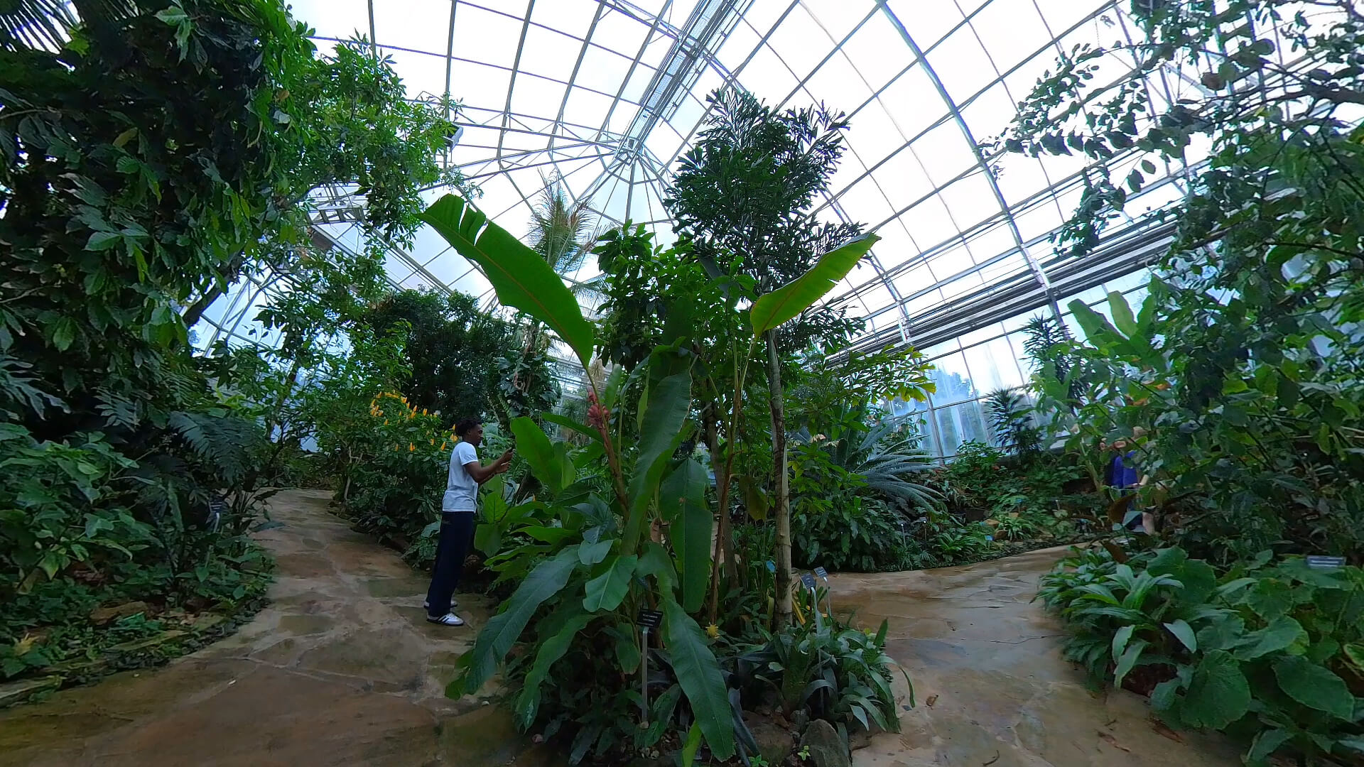 Rainforest Conservatory | Fort Worth Botanic Garden