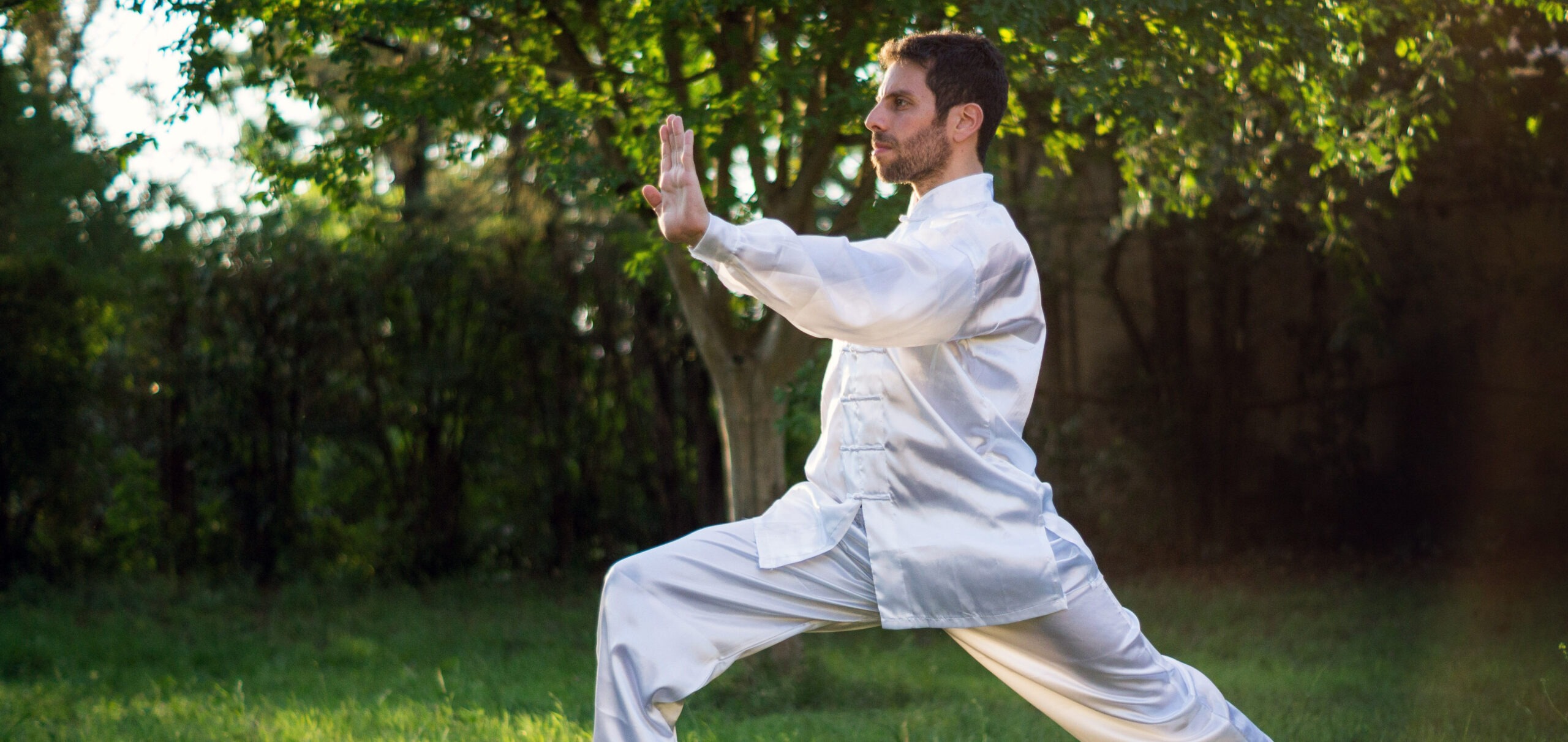 Tai Chi – 48-Form Flow