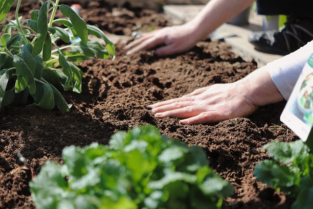 Homeschool Day: Soil Science