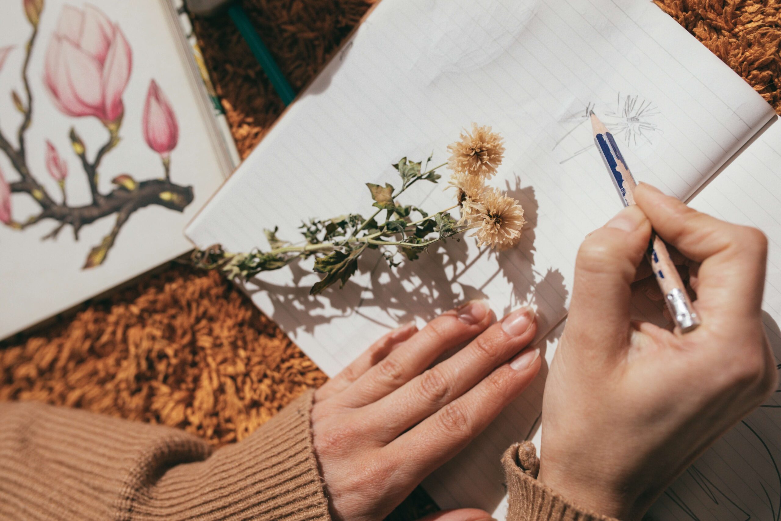 Drawing in the Garden – The Fernery