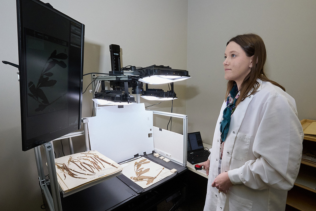 Herbarium | Fort Worth Botanic Garden | BRIT