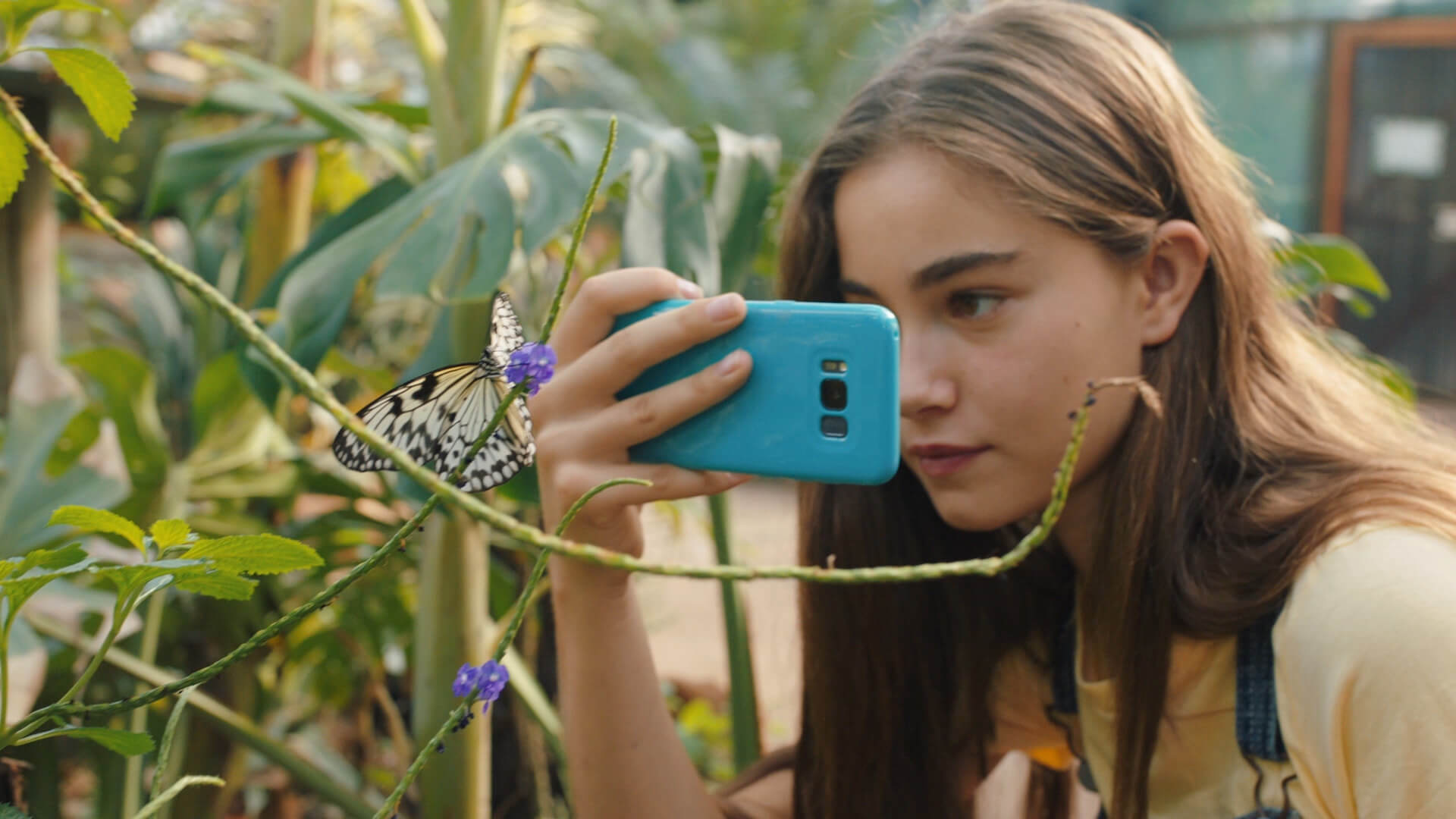 Smart Phone Photography