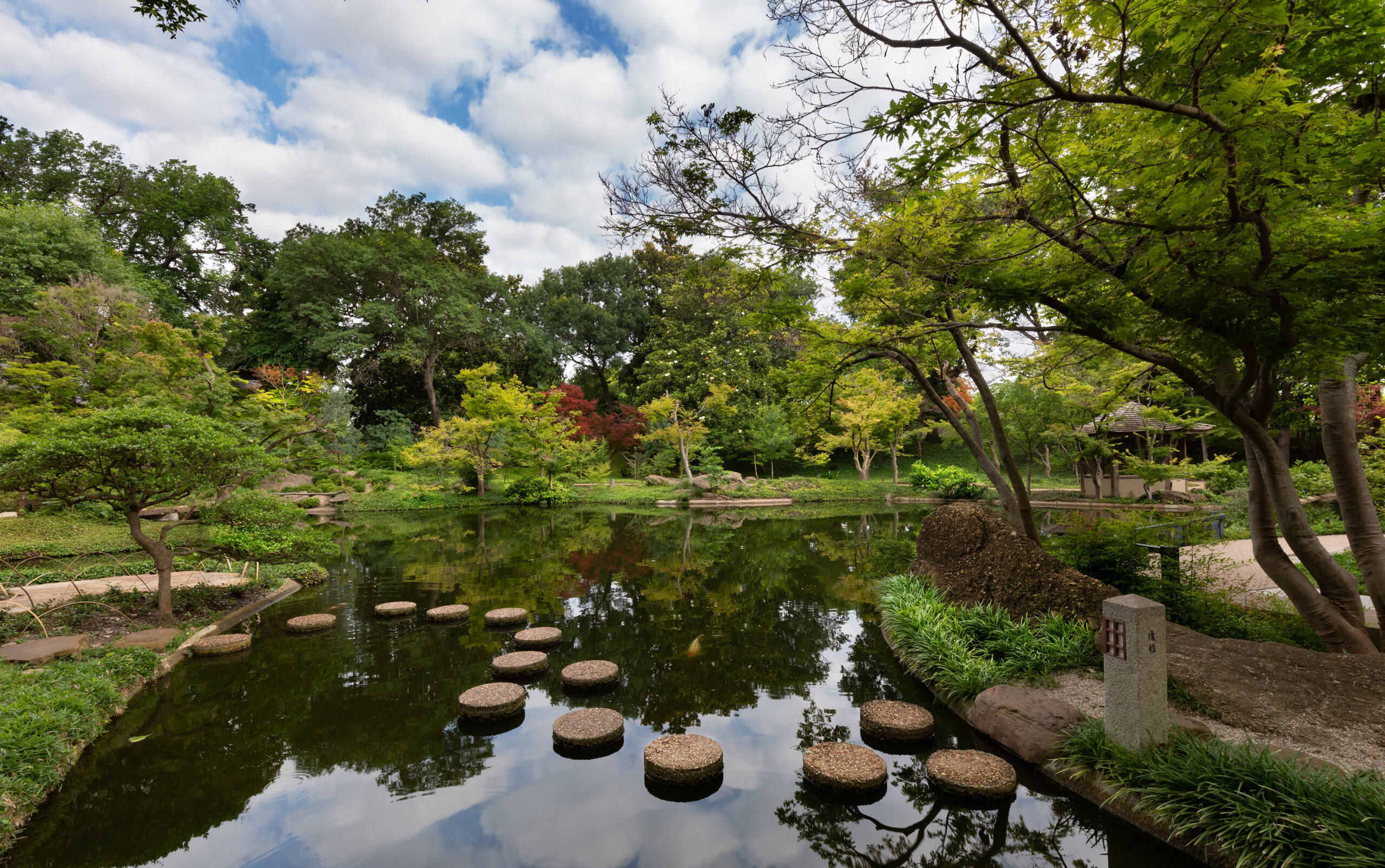 Discover Forest Bathing: May