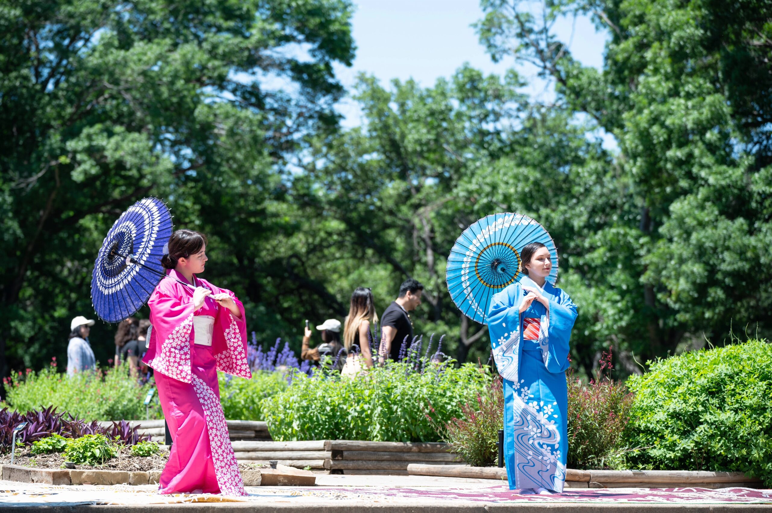 Japanese Spring Festival