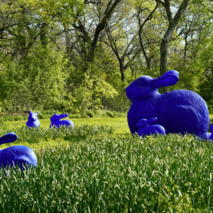 Vivid blue rabbit sculptures of varying sizes sit at the Fort Worth Botanic Garden sit among tall grass in a lush, sunny forest setting, creating a whimsical, playful atmosphere.