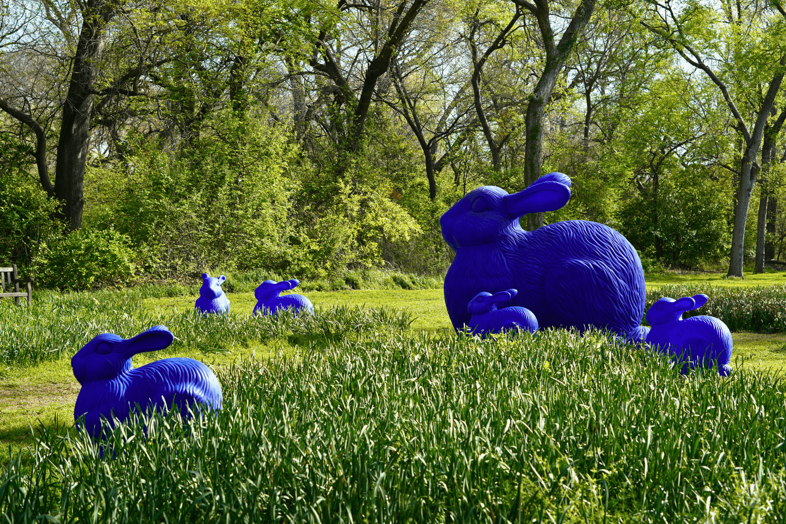 Garden Exhibit: Cracking Art