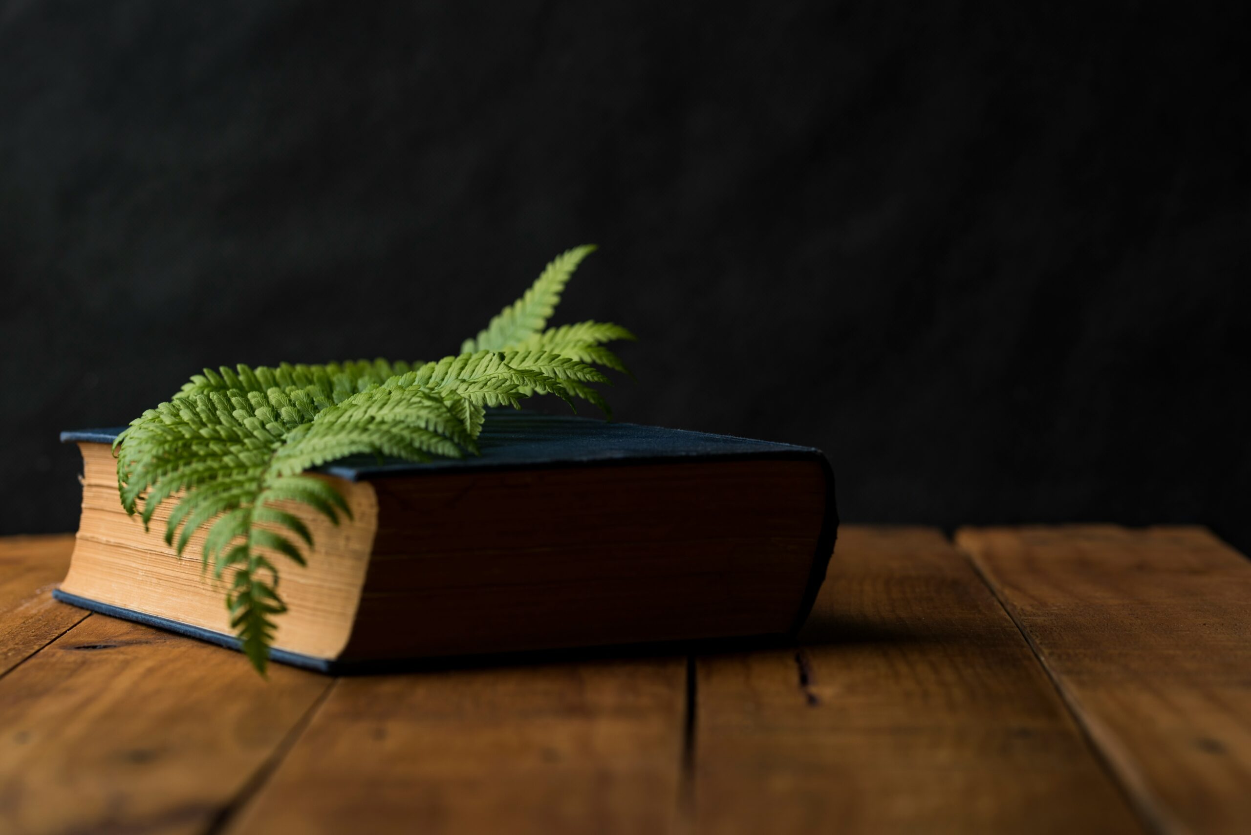 BRIT Reads Book Club: Becoming Earth by Ferris Jabr