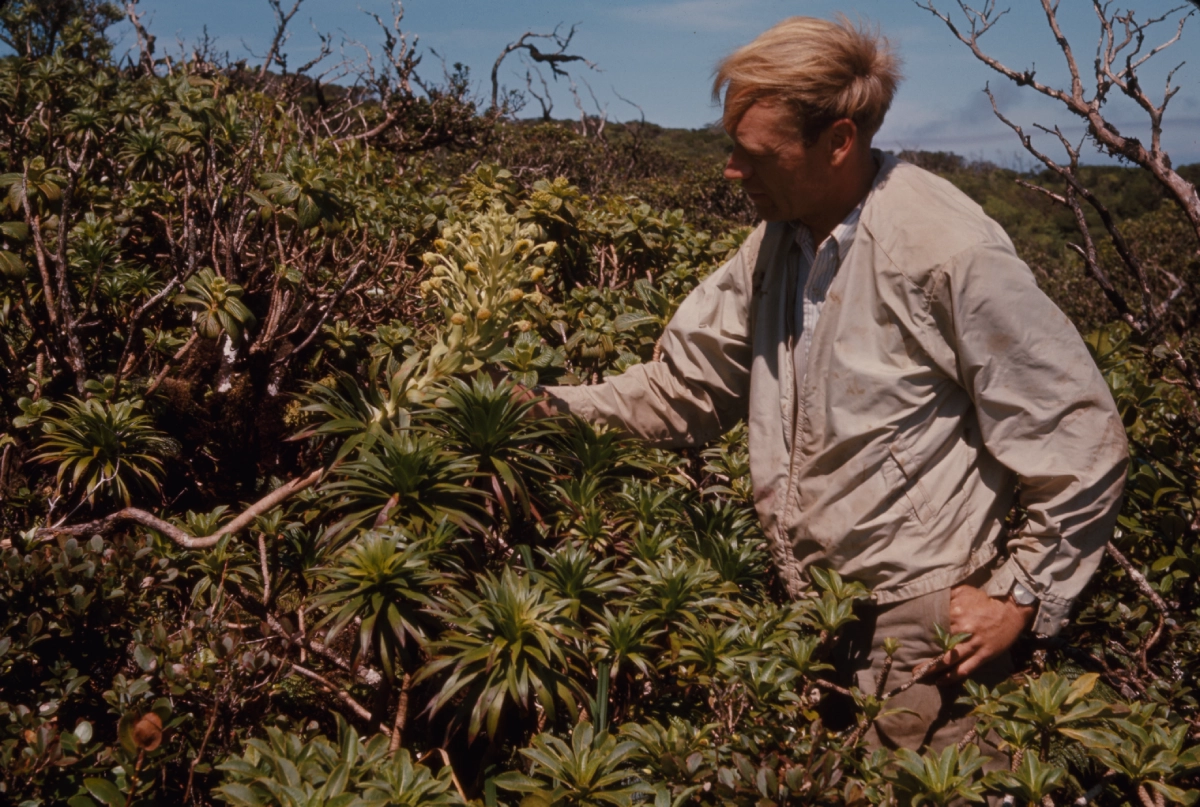 Fall Gallery Night Stop – “Expeditions Through the Lens: Botanical Photographs of Sherwin Carlquist”