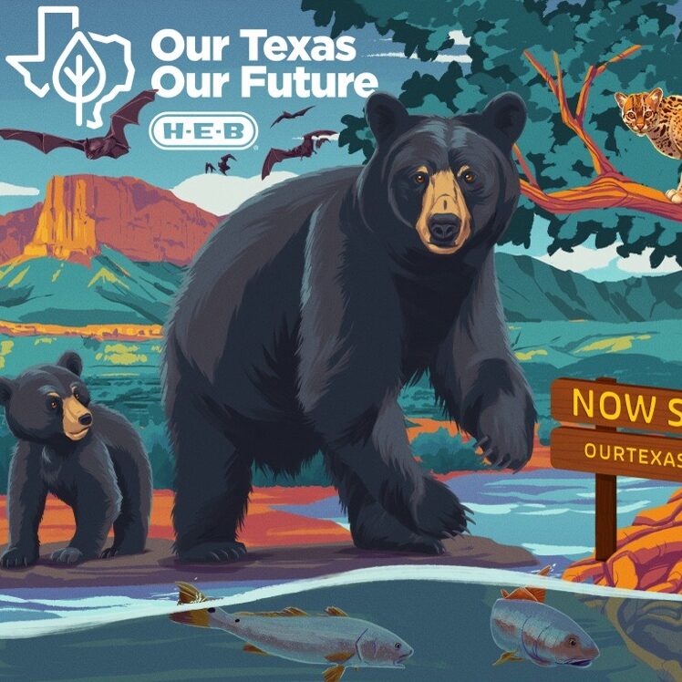 H-E-B Our Texas, Our Future Film Series Screening Celebration