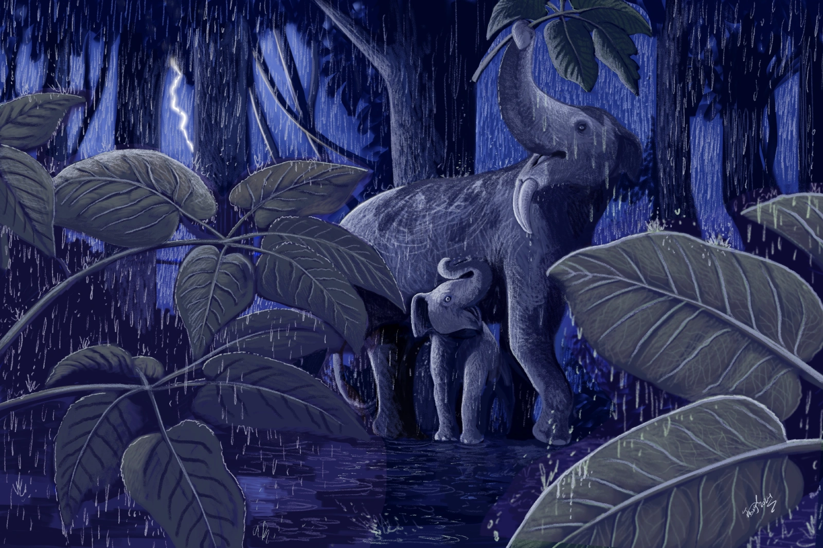 Discovery of a New Species of Fossil Tree Helps Paint Picture of Ancient African Forest