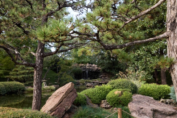 Discover Forest Bathing: July