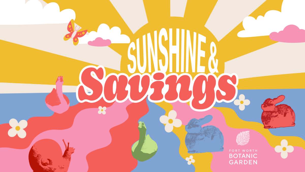 Sunshine & Savings: Discount Day